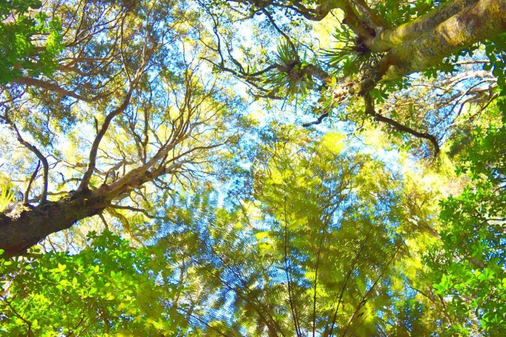 10 Things to Do in Napier with Kids