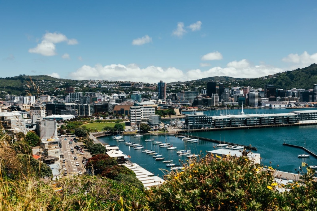 10 Beaches in Wellington You Can't Miss