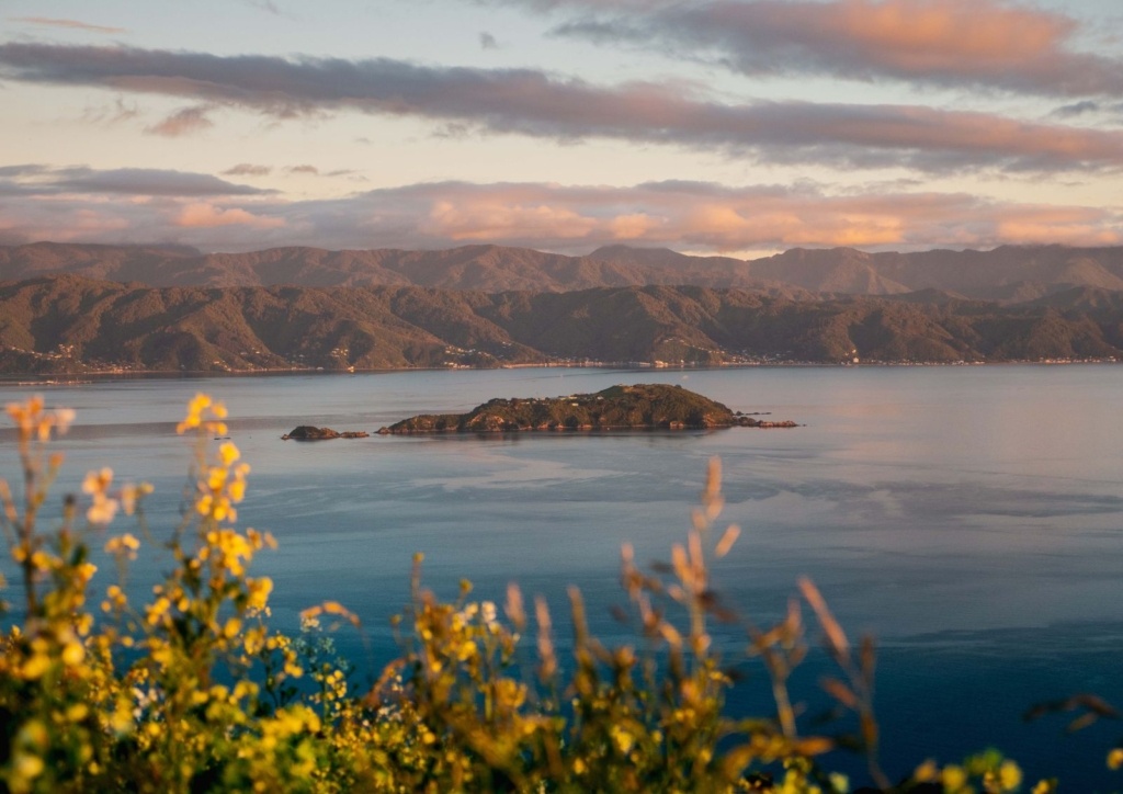 10 Best Things to Do in Lower Hutt