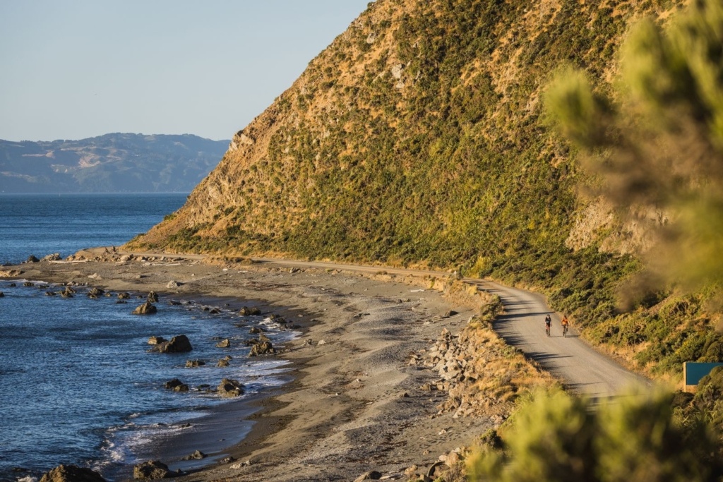 Mountain Biking in Wellington
