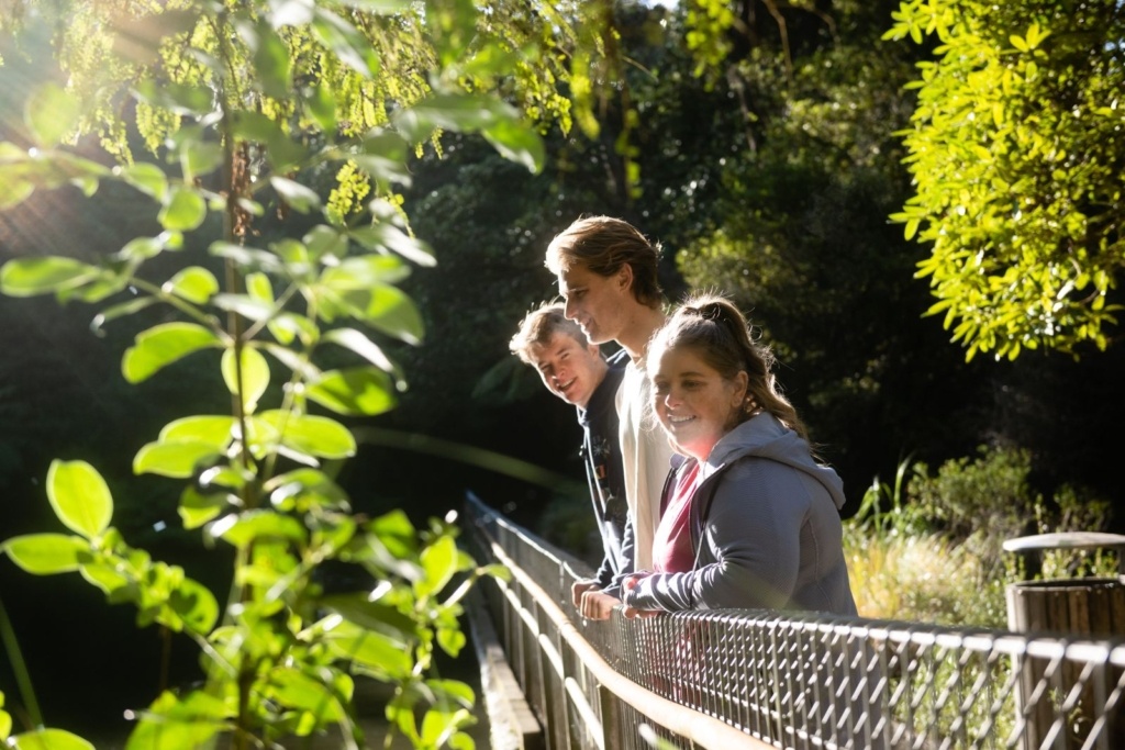 10 Best Things to Do in Lower Hutt
