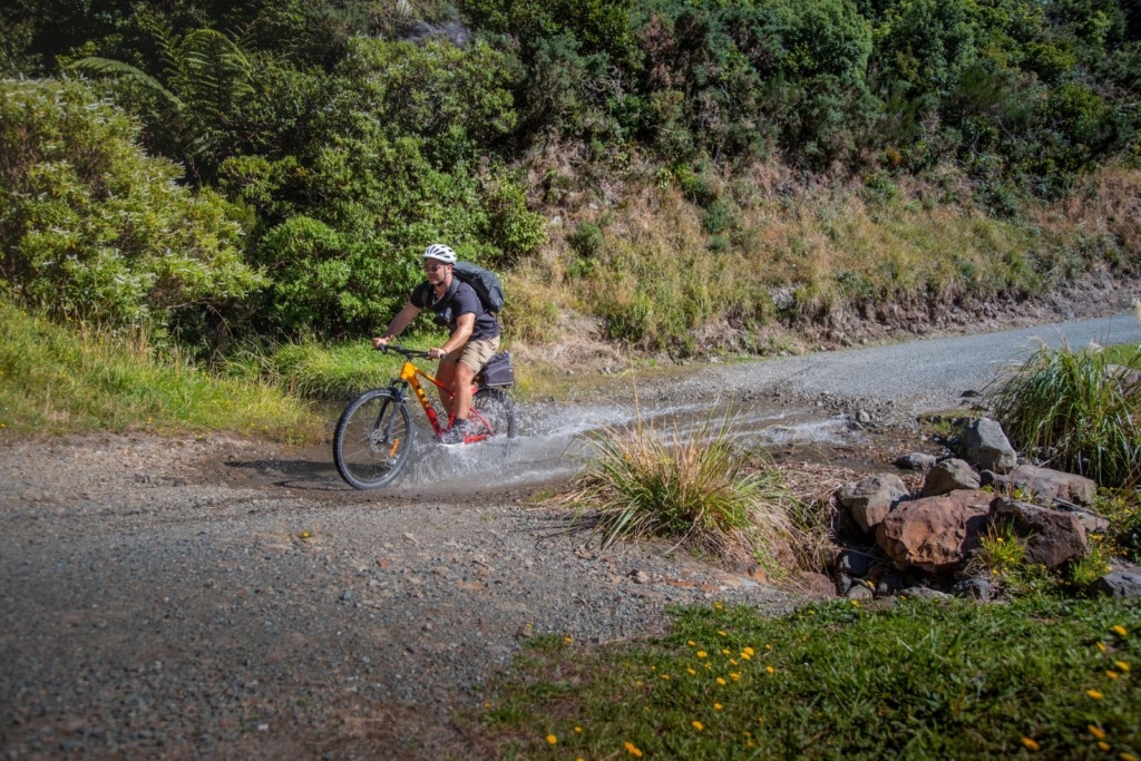Mountain Biking in Wellington