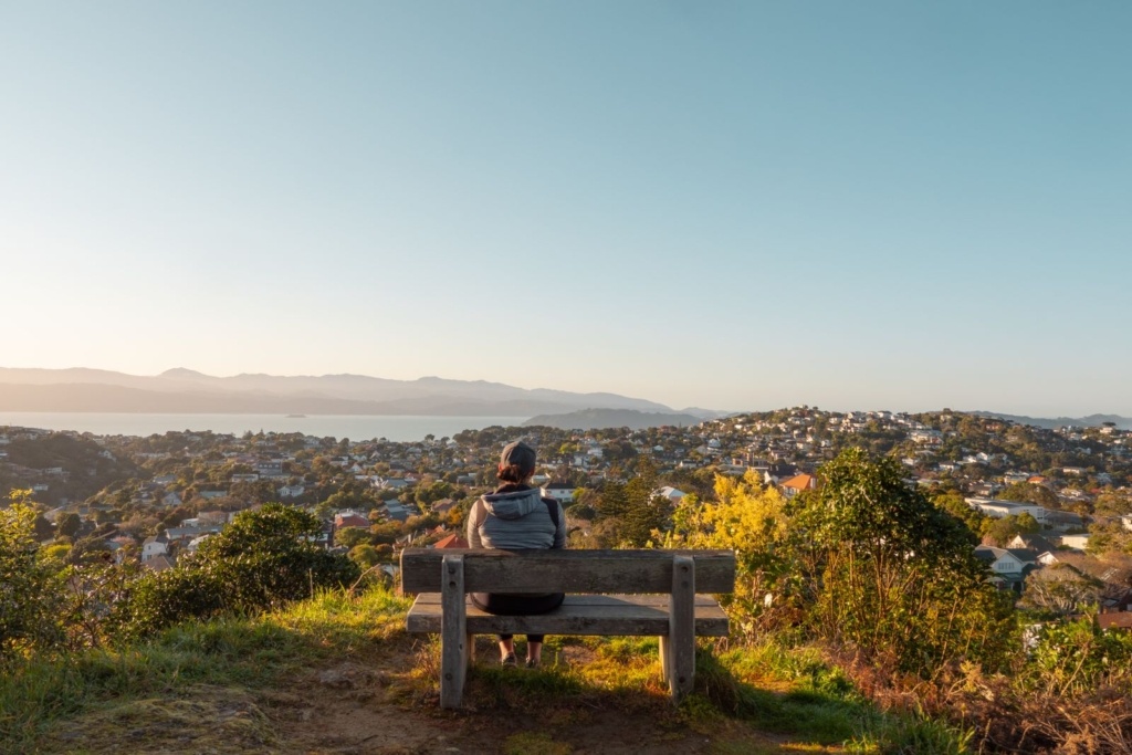 10 Best Walks in Wellington