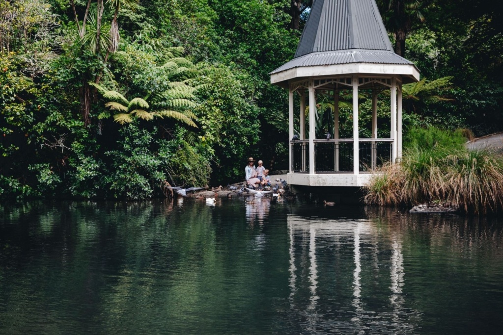 25 Best Things to Do in Wellington