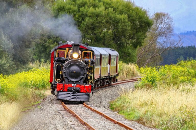 The Travel Guide to Gisborne for Families