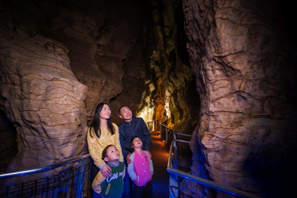 10 Things to Do in Waitomo with Kids