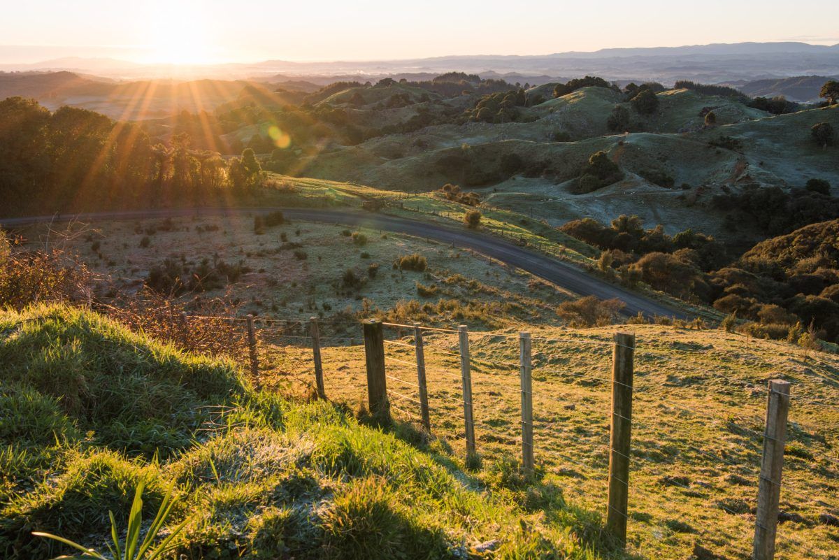 The Complete Travel Guide to Waitomo 2026