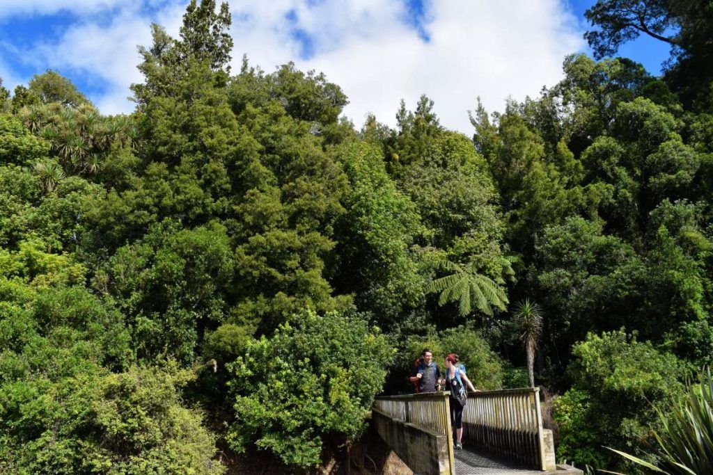 10 Things to Do in Whakatane with Kids