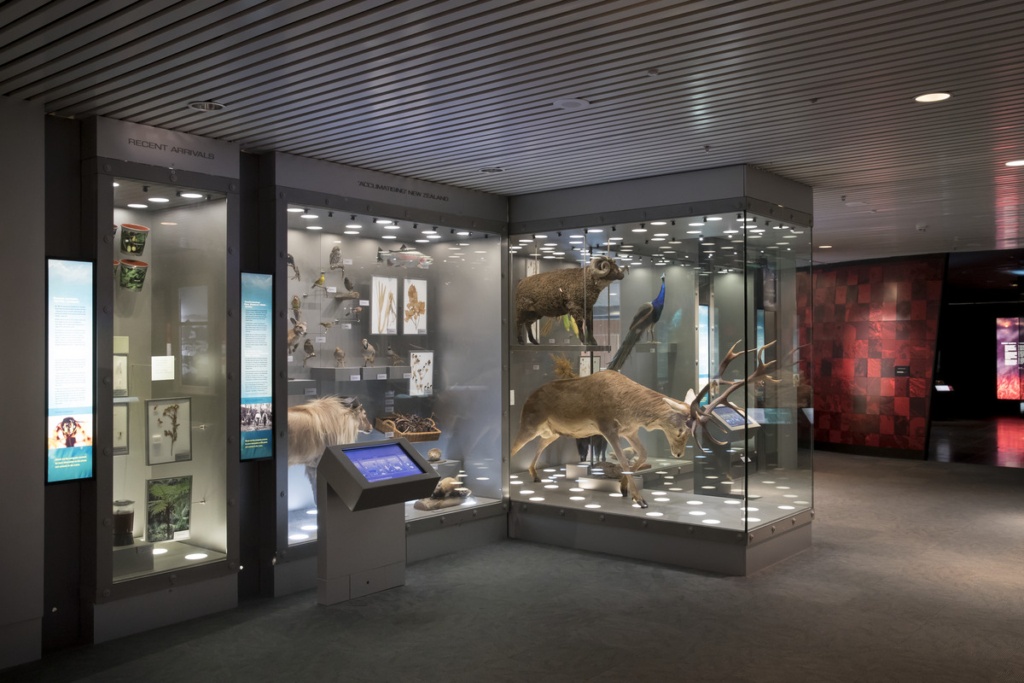 10 Reasons Why The Te Papa Museum is Simply Unmissable