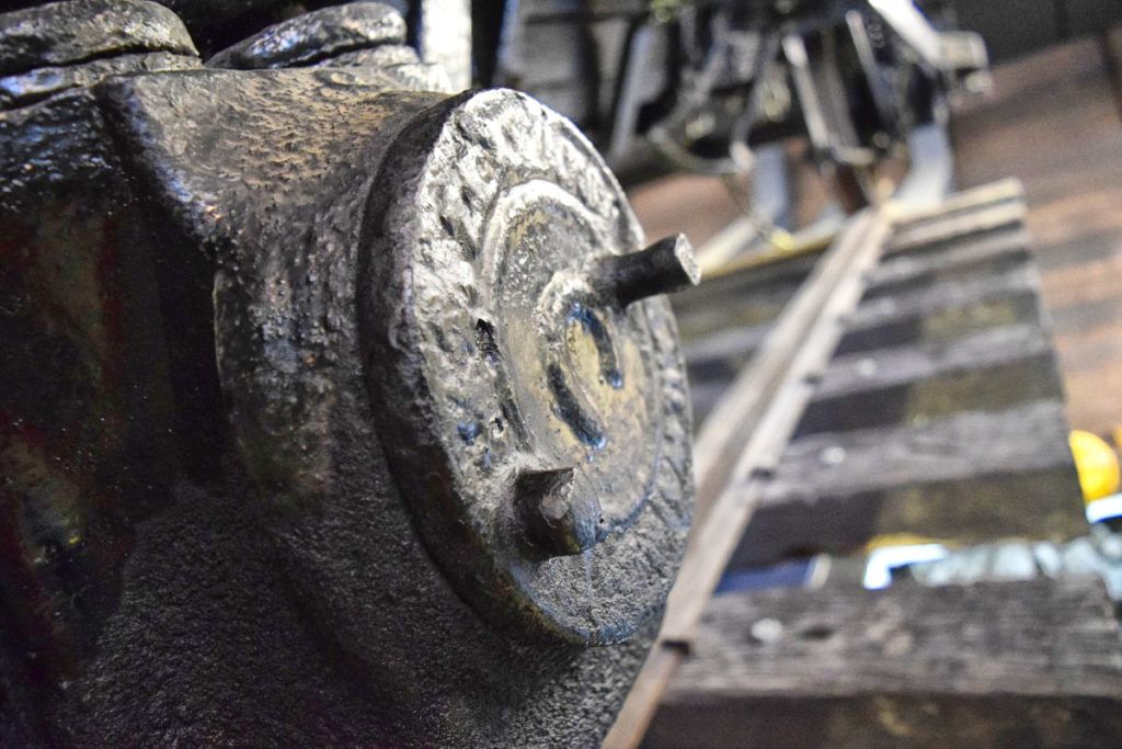 10 Things to Do in Napier with Kids