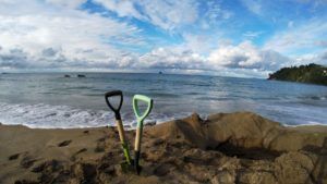 10 Free & Cheap Things to Do in the Coromandel