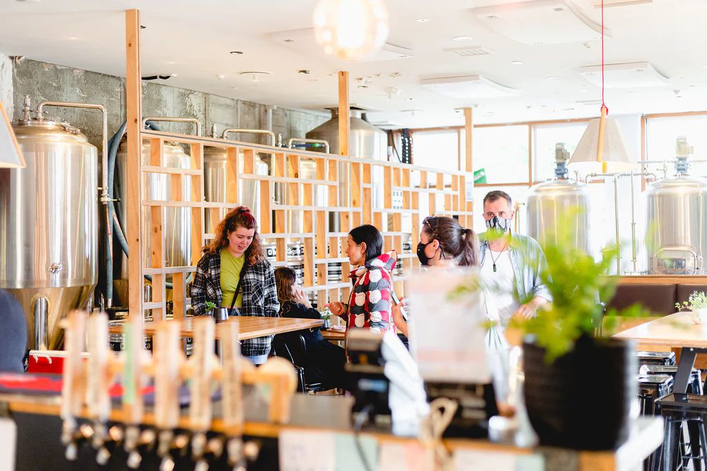 14 Best Breweries & Craft Beer Bars in Wellington