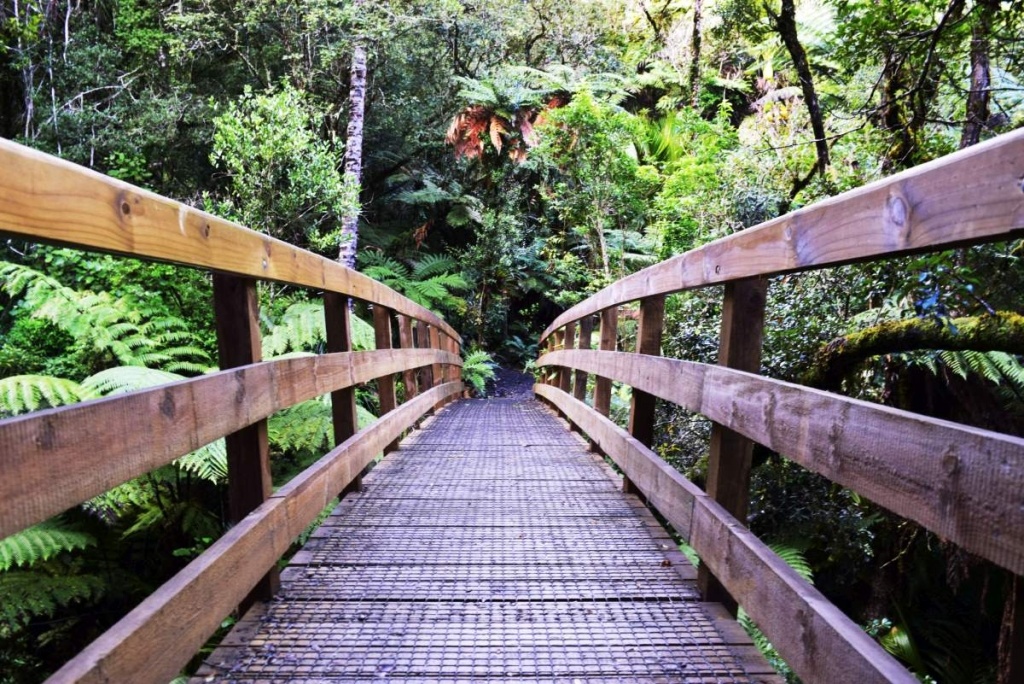 19 Free & Cheap Things to Do in Whangarei