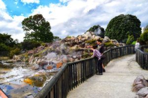 The Complete Guide to Rotorua