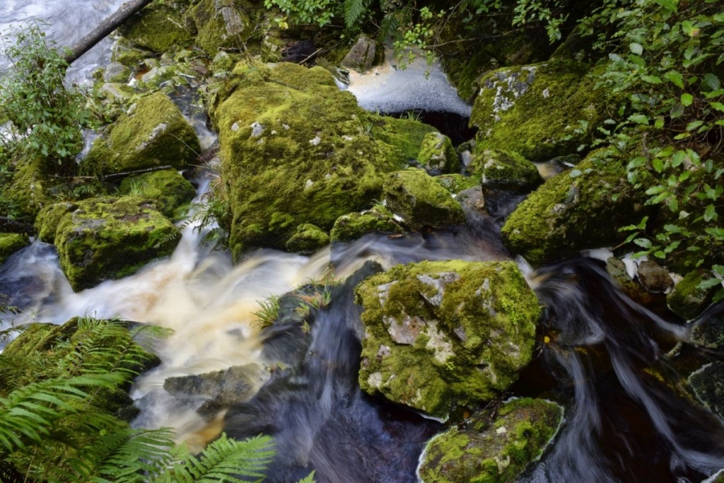 5 Best Things to Do in Morrinsville