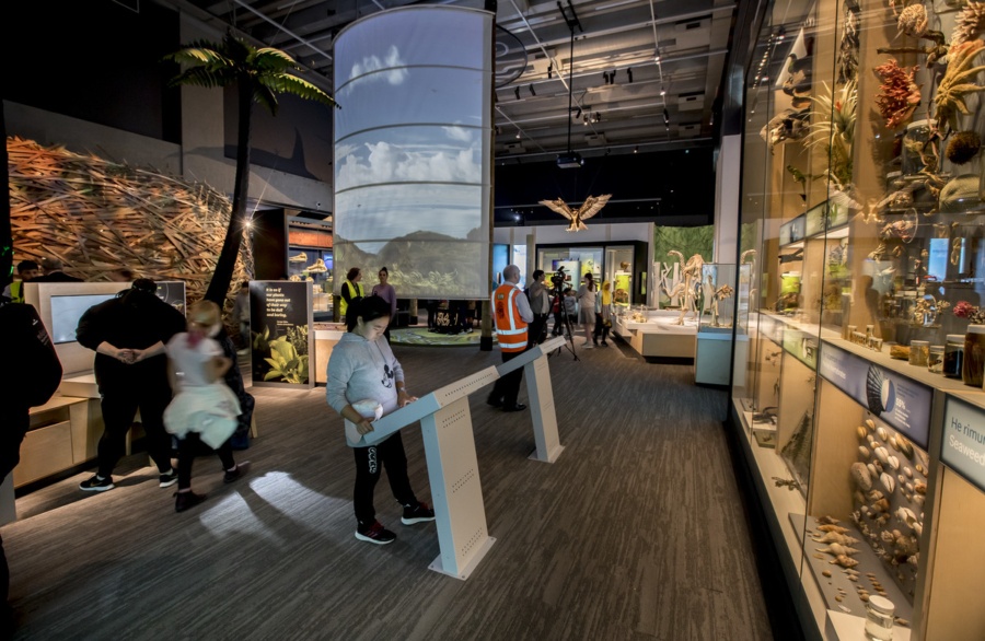 10 Reasons Why The Te Papa Museum is Simply Unmissable