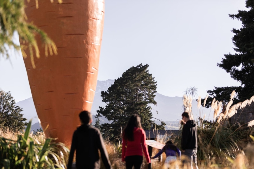 7 Romantic Activities in Ohakune for Couples