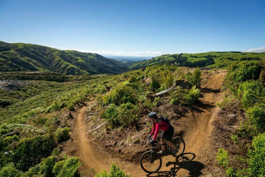 16 Best Things to Do in Palmerston North The Palmerston North MustDos!