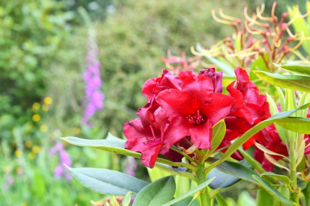 10 Romantic Activities in Whanganui for Couples