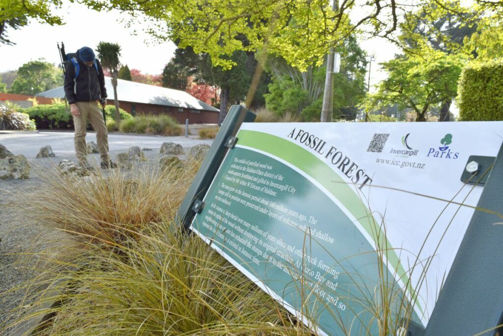 9 Things to Do in Invercargill with Kids