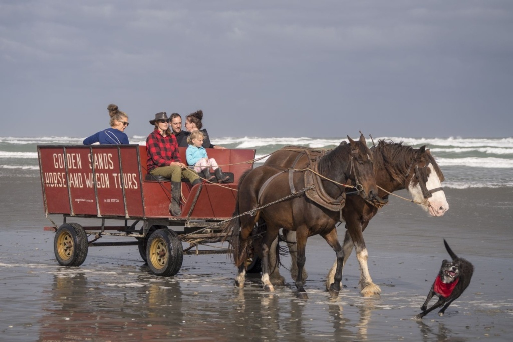 10 Things to Do in Greymouth with Kids
