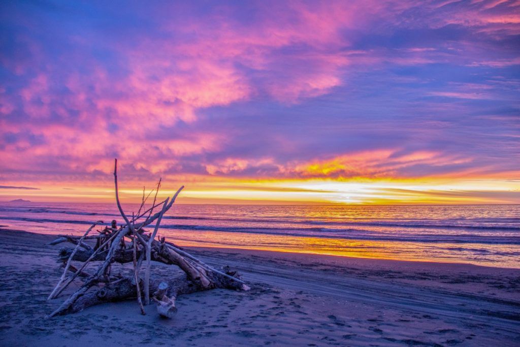 7 Romantic Activities in Palmerston North for Couples