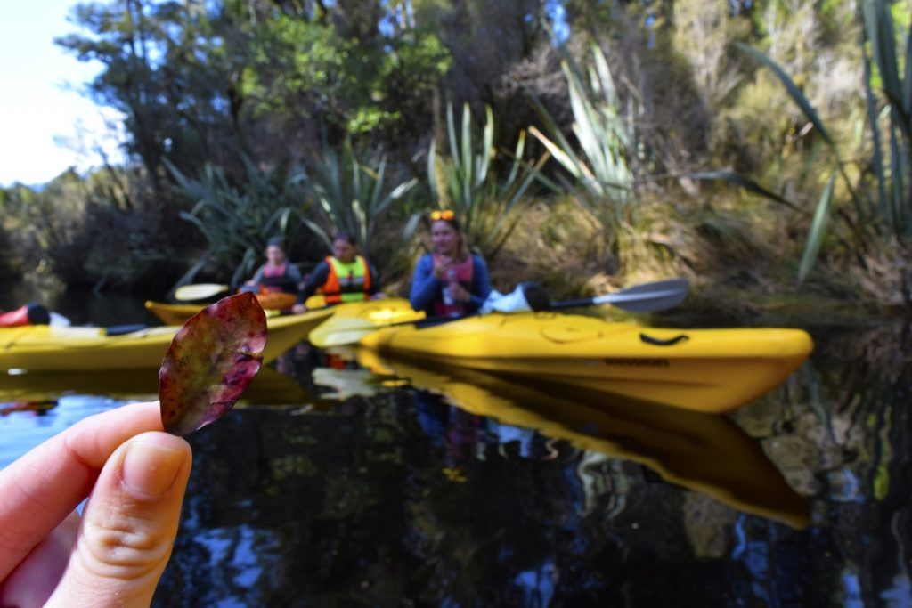 10 Best New Zealand Ingredients to Cook With