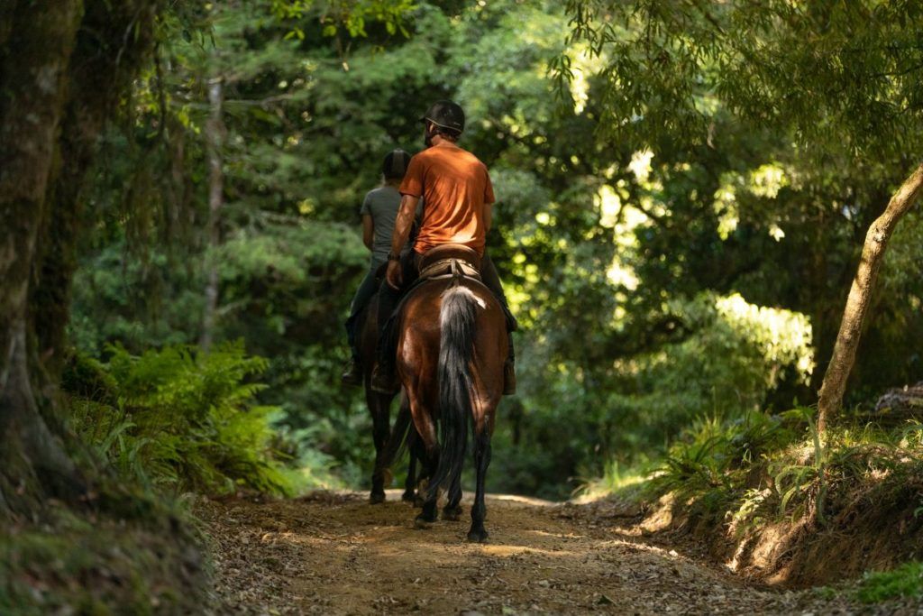9 Luxury Activities in Ohakune