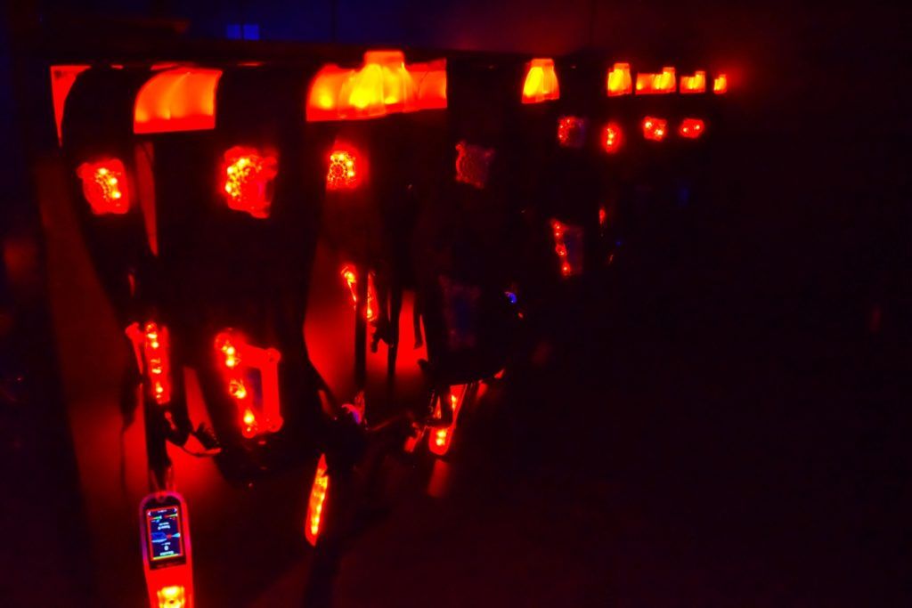 10 Things to Do in Whanganui with Kids