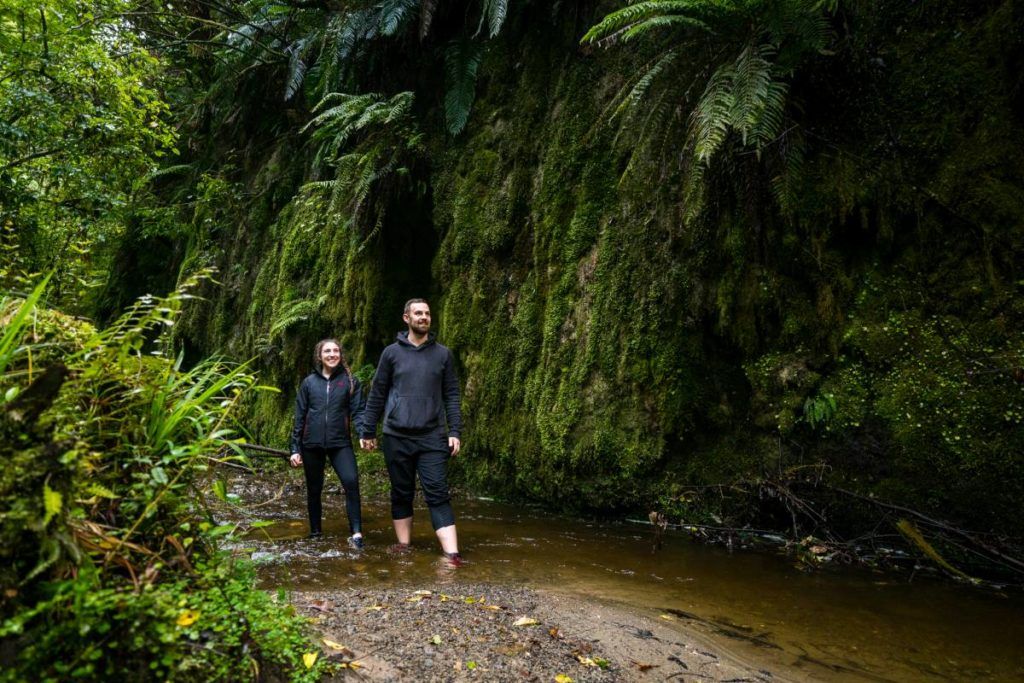 7 Romantic Activities in Palmerston North for Couples