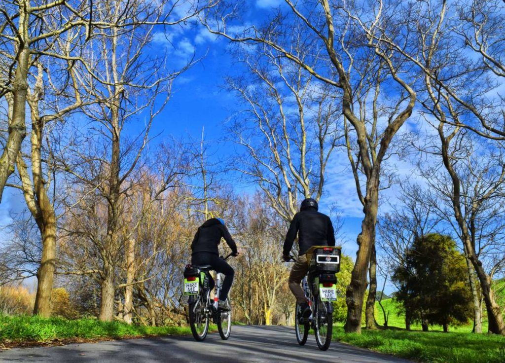 7 Romantic Activities in Palmerston North for Couples