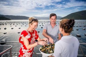 8 Luxury Activities in Picton