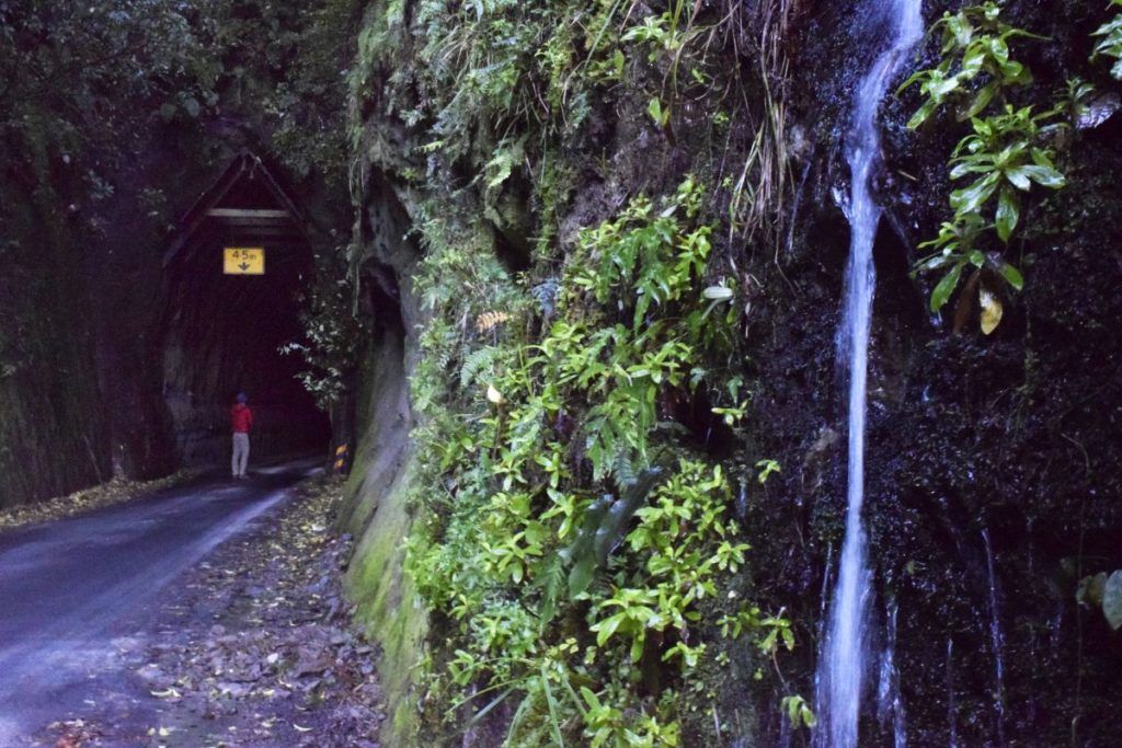 10 Most Beautiful Roads in New Zealand
