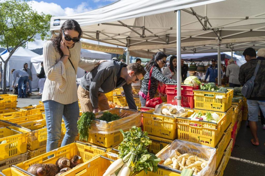 9 Things to Do in Nelson for Foodies