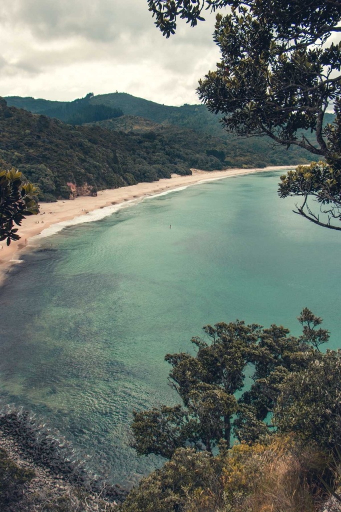 10 Features That Make the Coromandel Unique