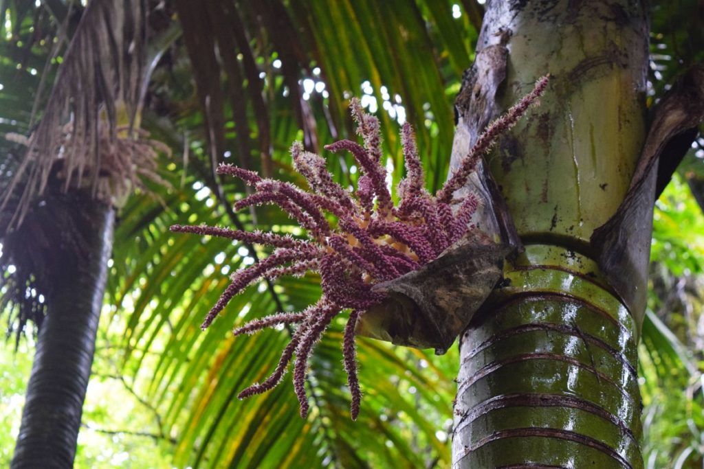 10 Things to Do in Westport with Kids