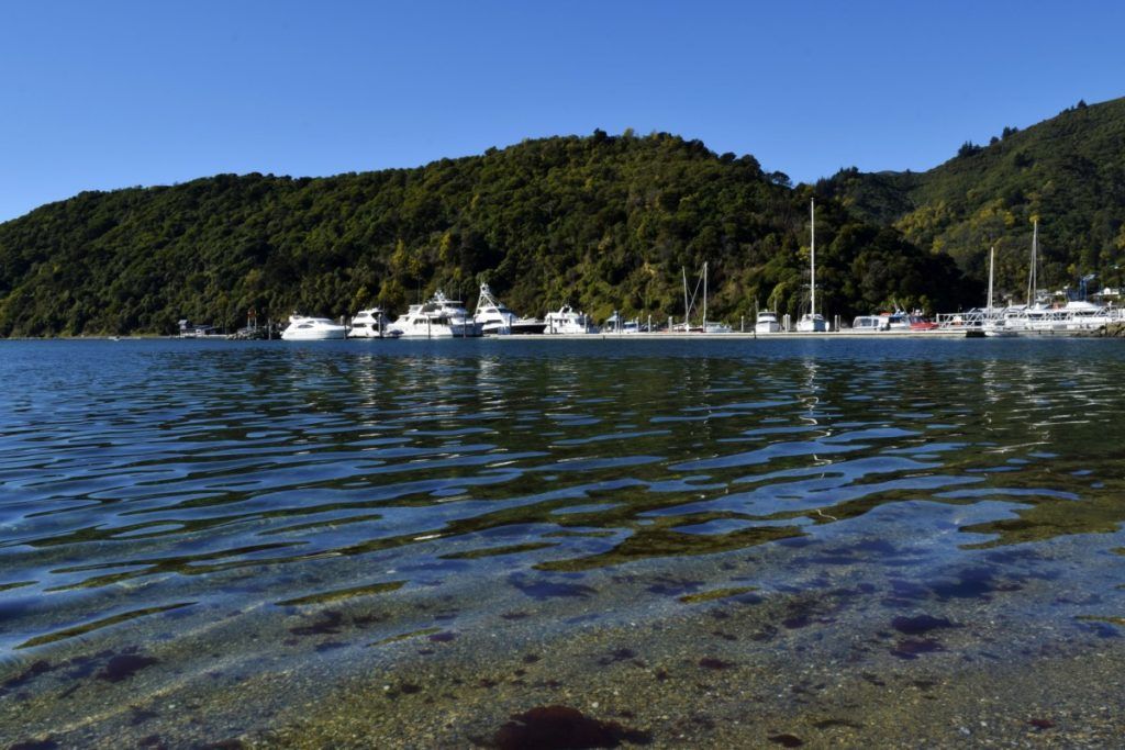 10 Free & Cheap Things to Do in Picton