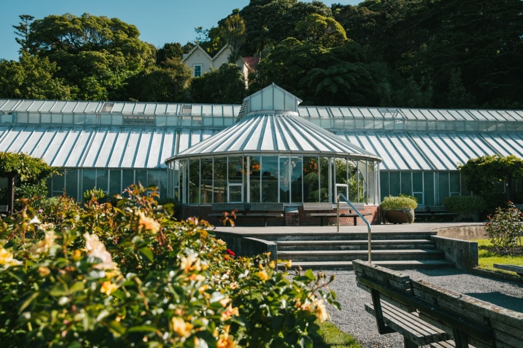 10 Romantic Activities in Wellington for Couples