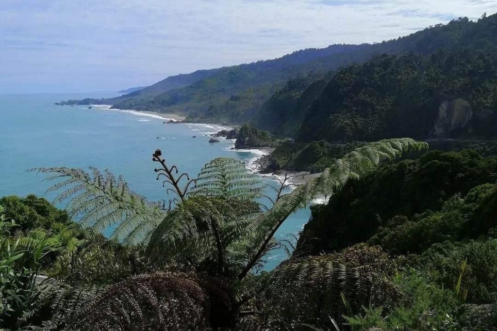 10 Romantic Activities in Greymouth for Couples