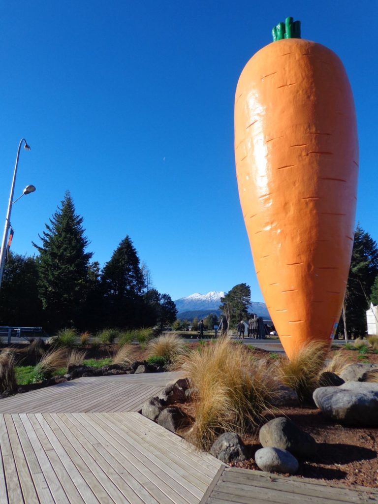 10 Free & Cheap Things to Do in Ohakune