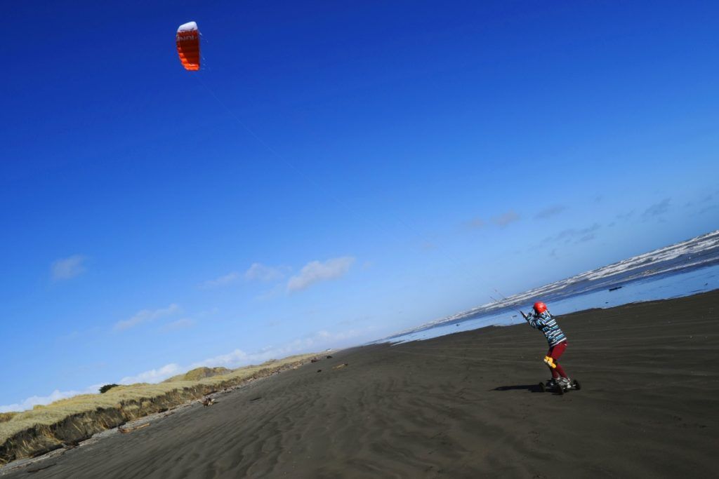 10 Palmerston North Must-Dos