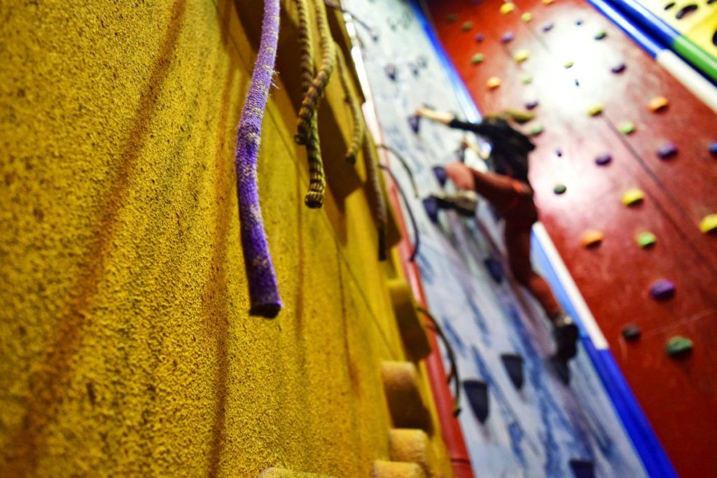 10 Free & Cheap Things to Do in Ohakune