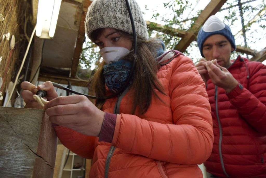 10 Things to Do in Greymouth on a Rainy Day