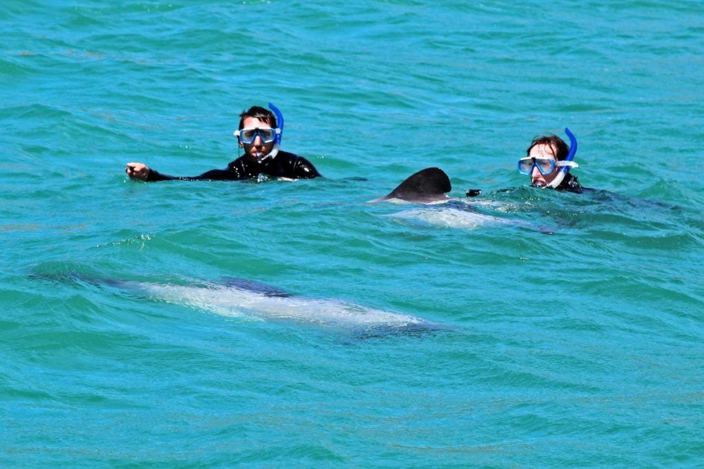 10 Romantic Activities in Akaroa for Couples