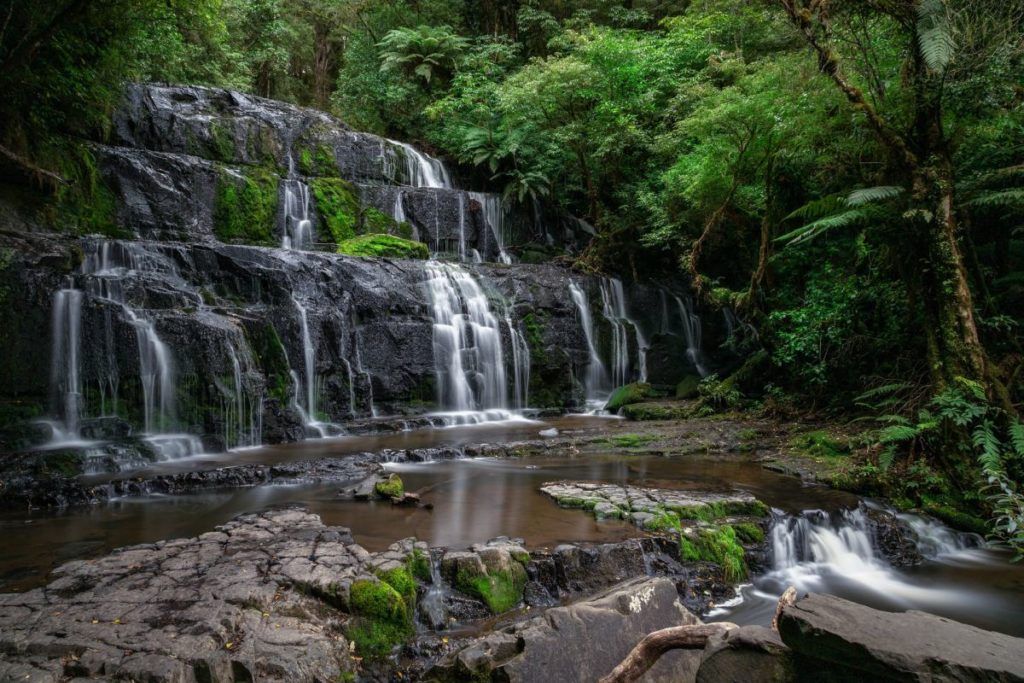 10 Free & Cheap Things to Do in The Catlins