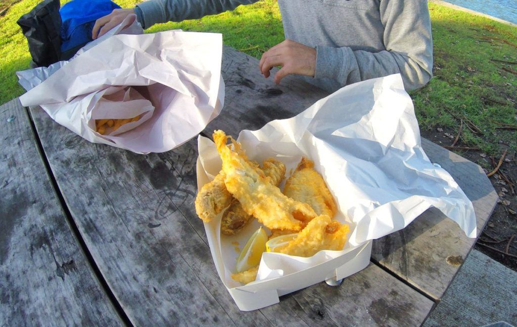 The Guide to The Catlins on a Budget