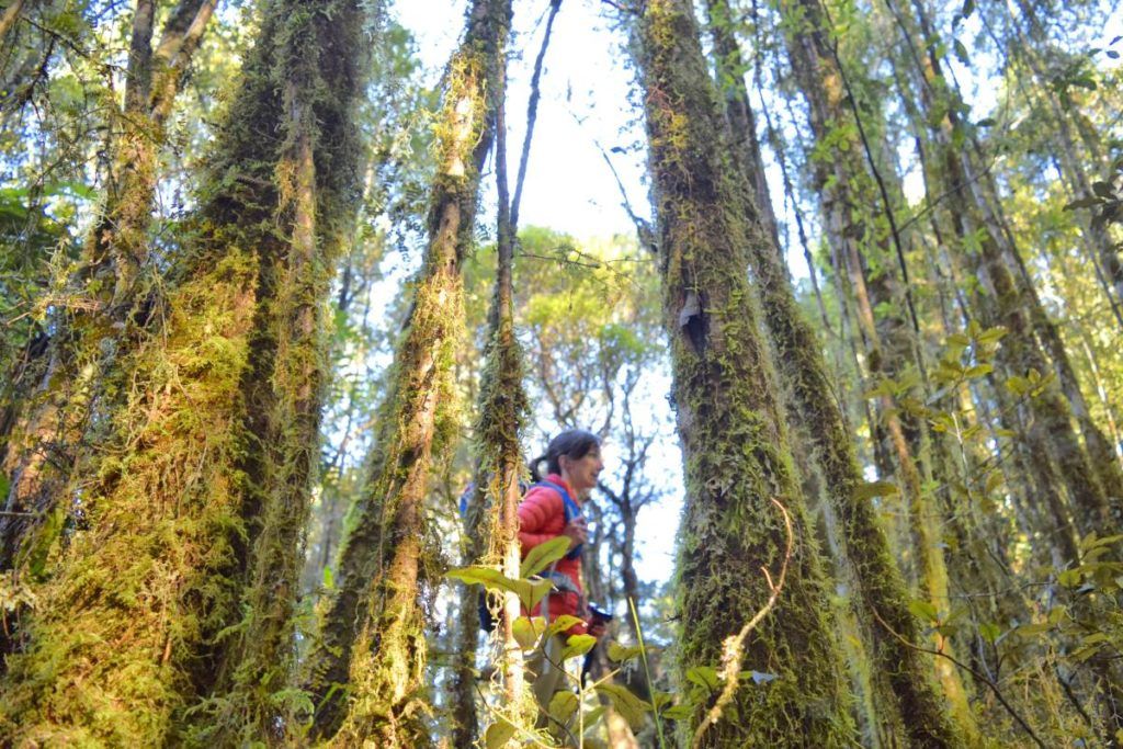 10 Free & Cheap Things to Do in Mt Cook