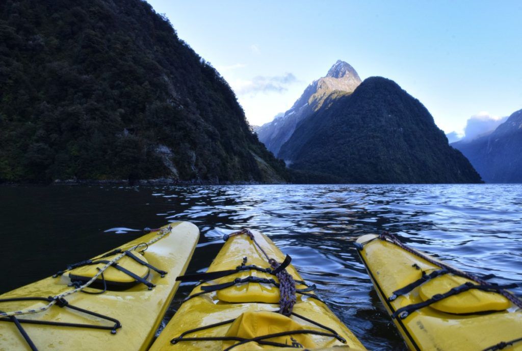 10 Amazing Things to Do in Milford Sound