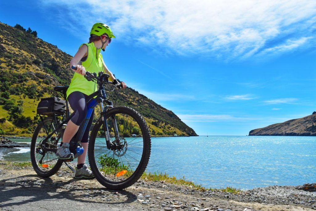 6 Luxury Activities in Akaroa