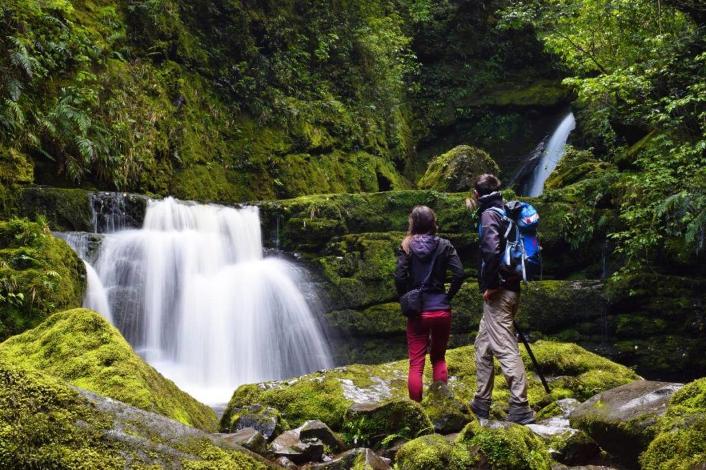 10 Free & Cheap Things to Do in The Catlins